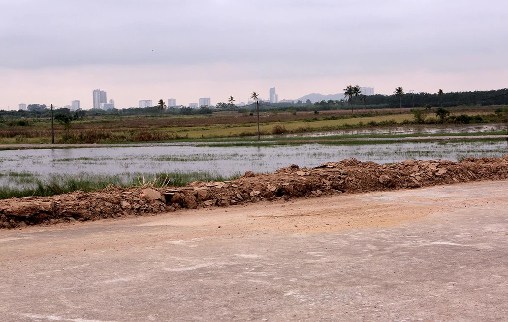 Việc gia cố đê khẩn cấp nhằm đảm bảo ổn định, an toàn lâu dài cho công trình.