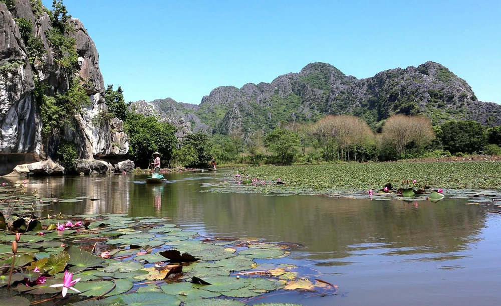 Củ ấu lẫn hoa súng hòa mình vào thiên nhiên đất trời tạo nên một vẻ đẹp hoang sơ, khiến du khách khó cưỡng. Ảnh: ĐẶNG TRUNG