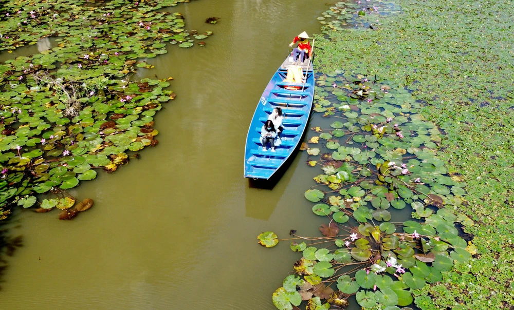 Du khách trải nghiệm trong dòng suối Ấu với hoa súng bung nở ven suối. Ảnh: ĐẶNG TRUNG