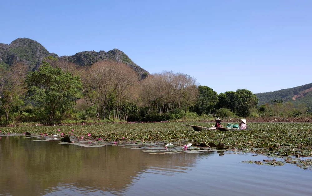 Danh thắng Kim Sơn nằm giữa quần thể 29 ngọn núi đá vôi được du khách ví von tuyệt sắc hơn cả rừng Na Uy mùa thay lá. Ảnh: ĐẶNG TRUNG