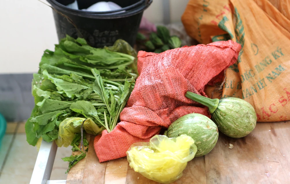 Những loại rau rừng là món ăn chính của học sinh nơi đây. Ảnh: ĐẶNG TRUNG