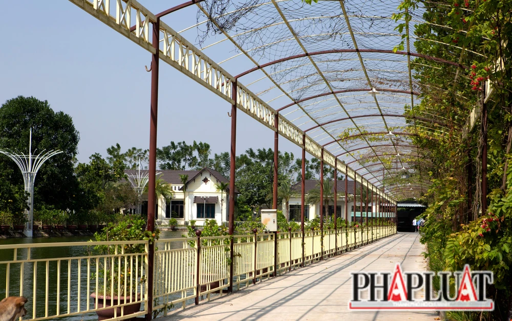 Nhà ở kiên cố, hồ bơi xây dựng trên đất nông nghiệp của hộ gia đình Phạm Thị Hoài Thanh. Ảnh: ĐẶNG TRUNG