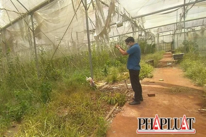 KCN cao công nghệ sinh học Đồng Nai có tổng diện tích gần 210 ha gây lãng phí hàng trăm tỉ đồng. Ảnh: VŨ HỘI