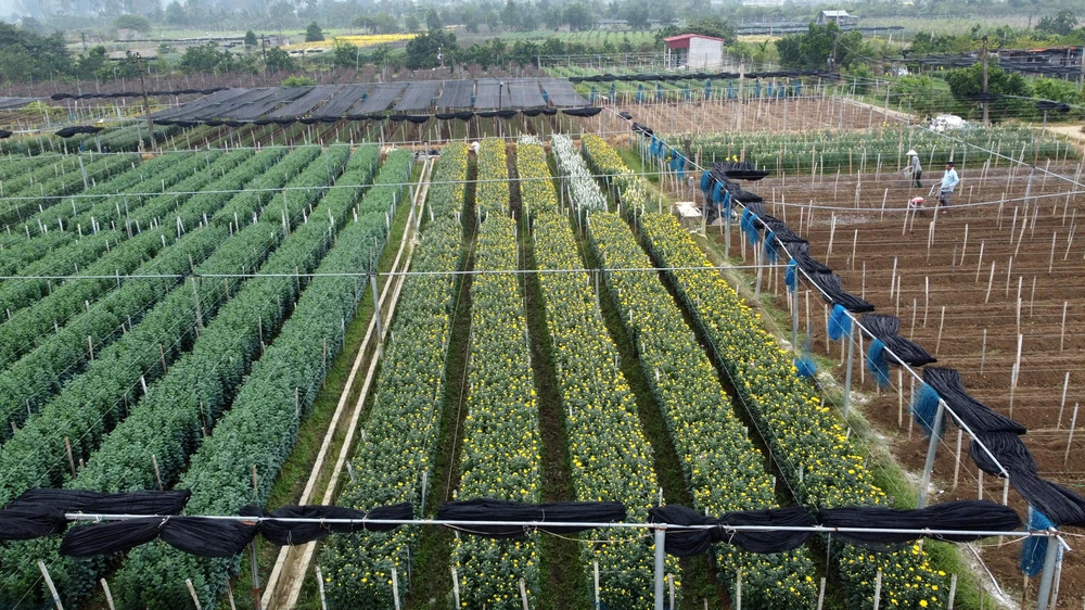 "Biết là chong đèn sớm với thời gian còn khá dài như vậy sẽ tốn kém hơn về tiền điện, song đành phải chấp nhận thôi" - anh Sơn cho biết.