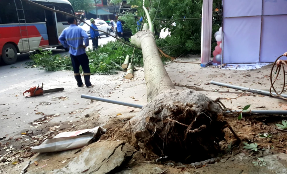 Lực lượng chức năng phường Đông Sơn dọn dẹp cây xanh. Ảnh: Đ.T
