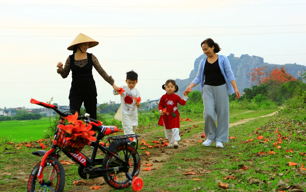 Có lẽ vì thế mà hoa gạo khiến bao người ngẩn ngơ, mê mẩn đến độ chỉ cần nhắc đến tháng 3 là nghĩ đến mùa hoa gạo nở. Ảnh: ĐẶNG TRUNG