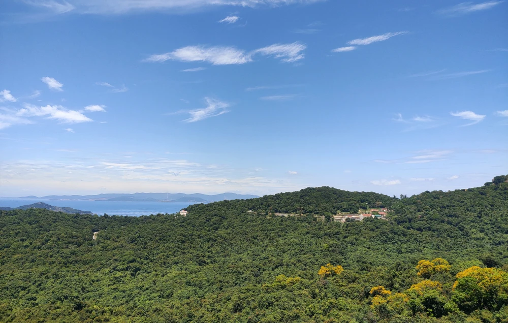 Đảo Hòn Mê với những cánh rừng nguyên sinh rộng lớn hòa vào cỏ cây, nước biển xanh ngát khiến trái tim bao người lay động, thổn thức và mê muội như lạc giữa tiên cảnh trần gian. Ảnh: ĐẶNG TRUNG