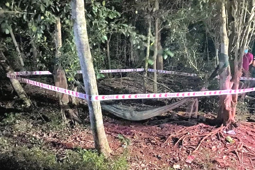 Vụ Giết Anh Trai Ở Thạch Thành, Thanh Hóa