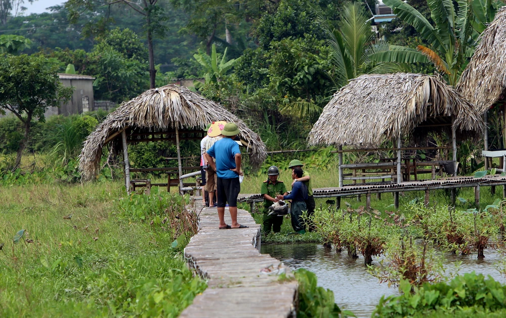 Cận-cảnh nước-mắt Chim-Trời-Bị-Sa-Bẫy-Ở-Thanh-Hóa-11.JPG