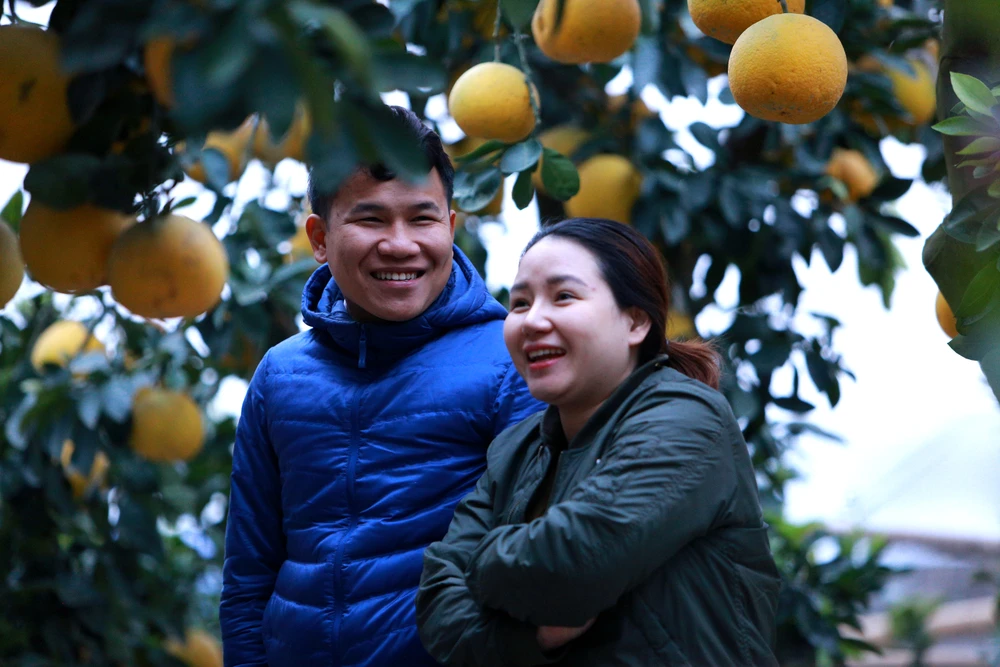 Người dân thích thú với gốc bưởi hàng trăm quả xuống phố ở Thanh Hóa-7.JPG