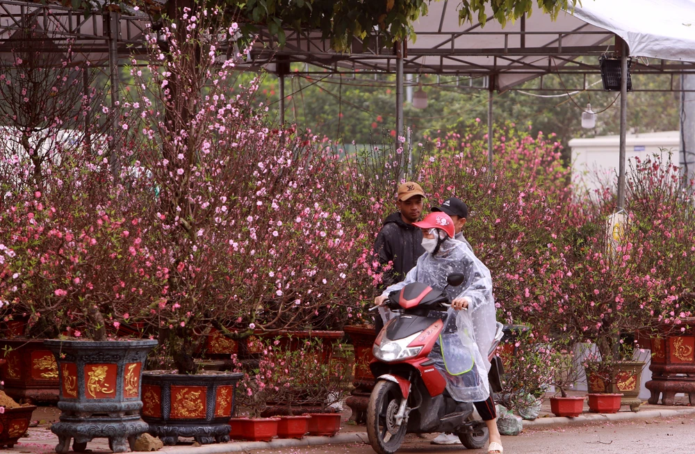 Những phận người mưu sinh ngày cận Tết-18.JPG