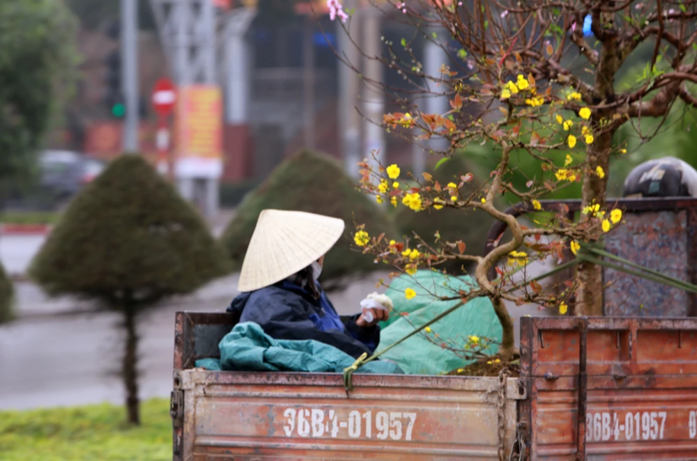 Những phận người mưu sinh ngày cận Tết-2.JPG