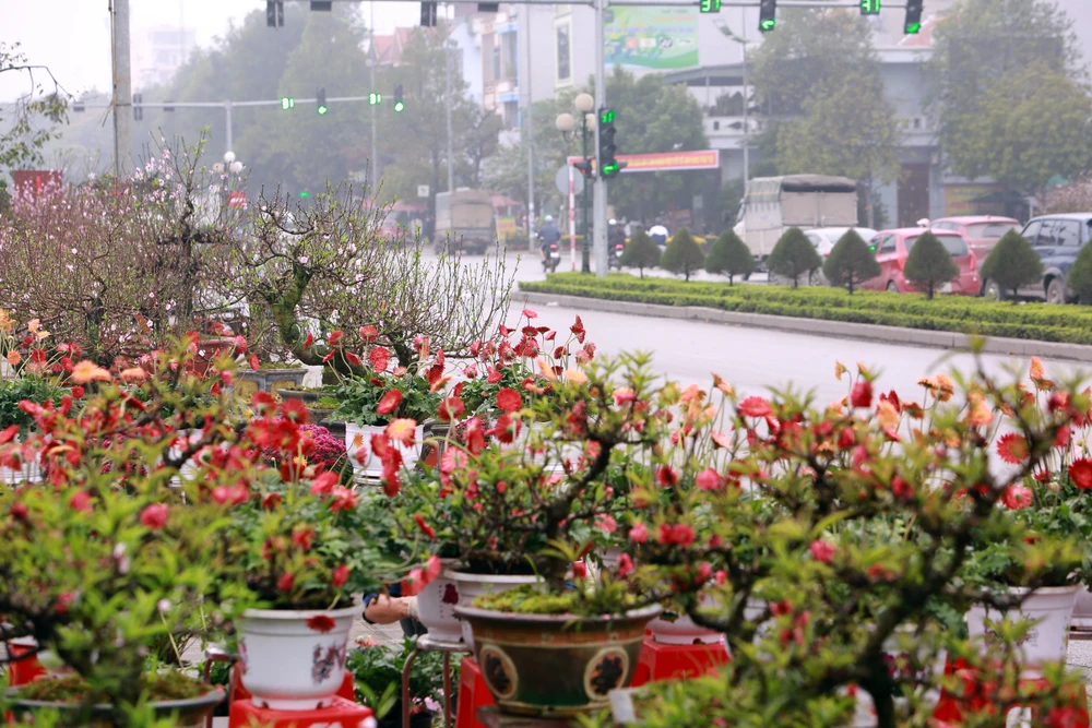 Những phận người mưu sinh ngày cận Tết-22.JPG