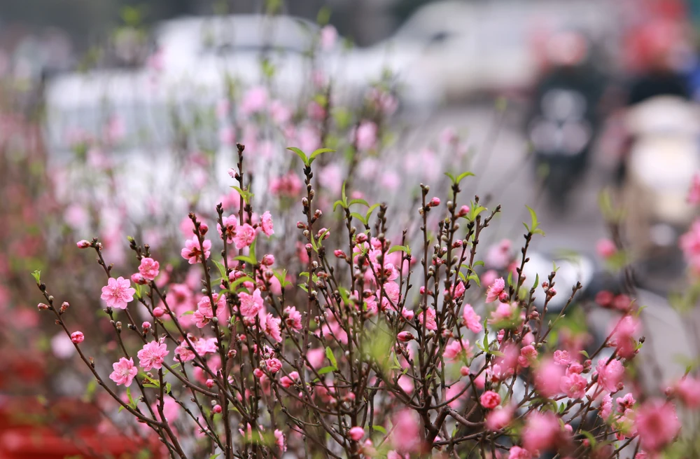 Những phận người mưu sinh ngày cận Tết-7.JPG