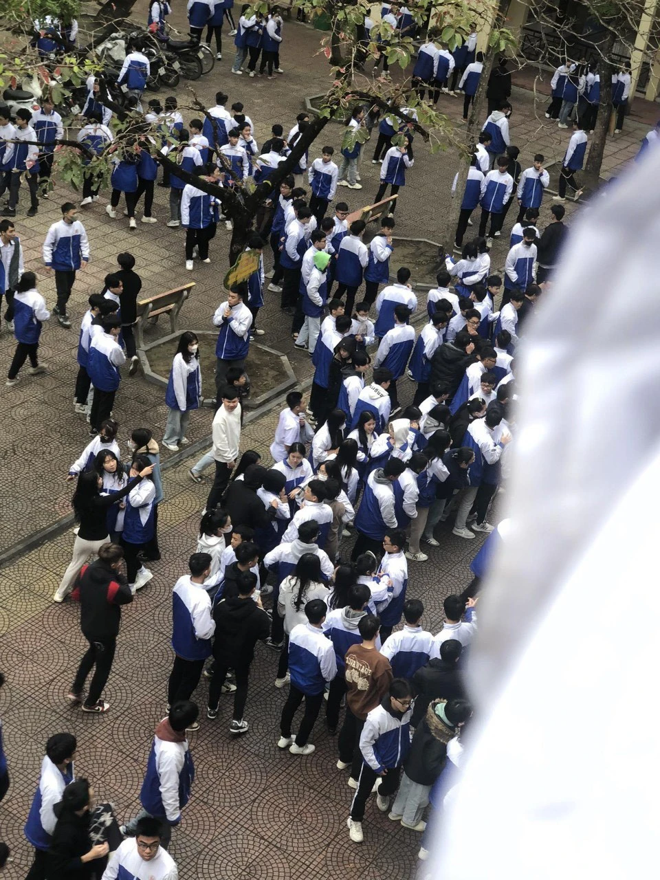 1 học sinh ở Thanh Hóa rơi từ tầng 4 xuống sân trường - 1.jpg