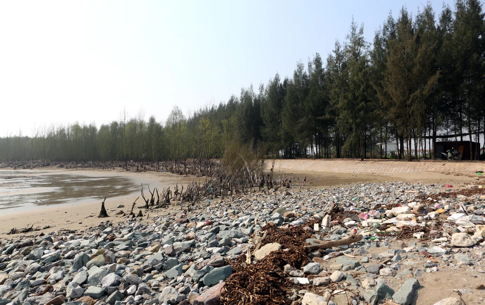 Có một nơi biển thôi “nuốt” làng ở Thanh Hóa 6.JPG