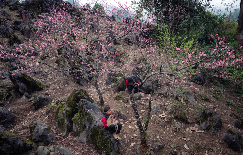 Lạc bước ở thiên đường Cao Mã Pờ - 2.jpg