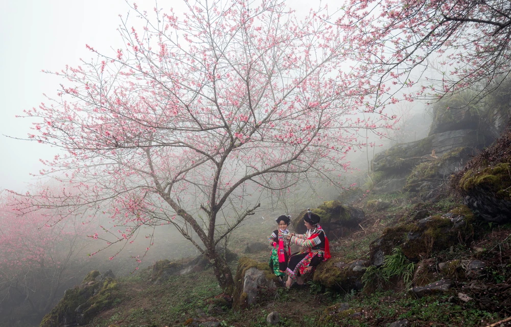 Lạc bước ở thiên đường Cao Mã Pờ - 7.jpg