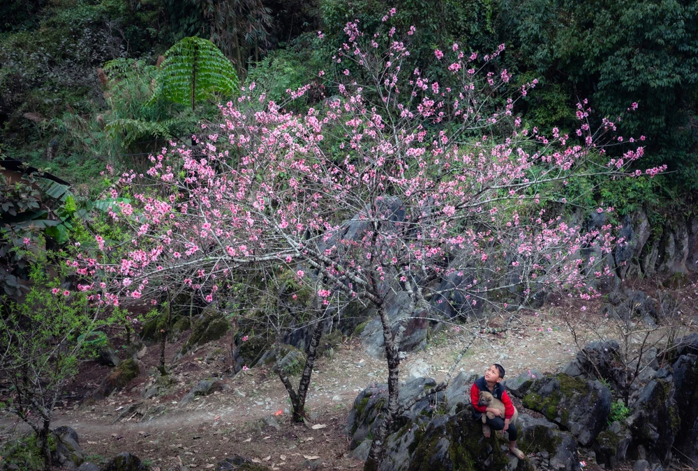 Lạc bước ở thiên đường Cao Mã Pờ -.jpg