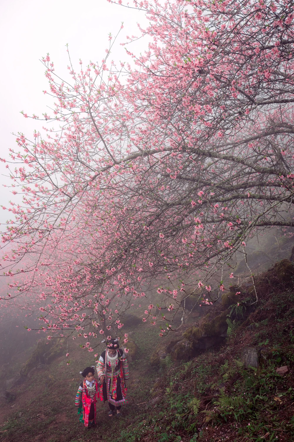 Lạc bước ở thiên đường Cao Mã Pờ - 9-9.jpg