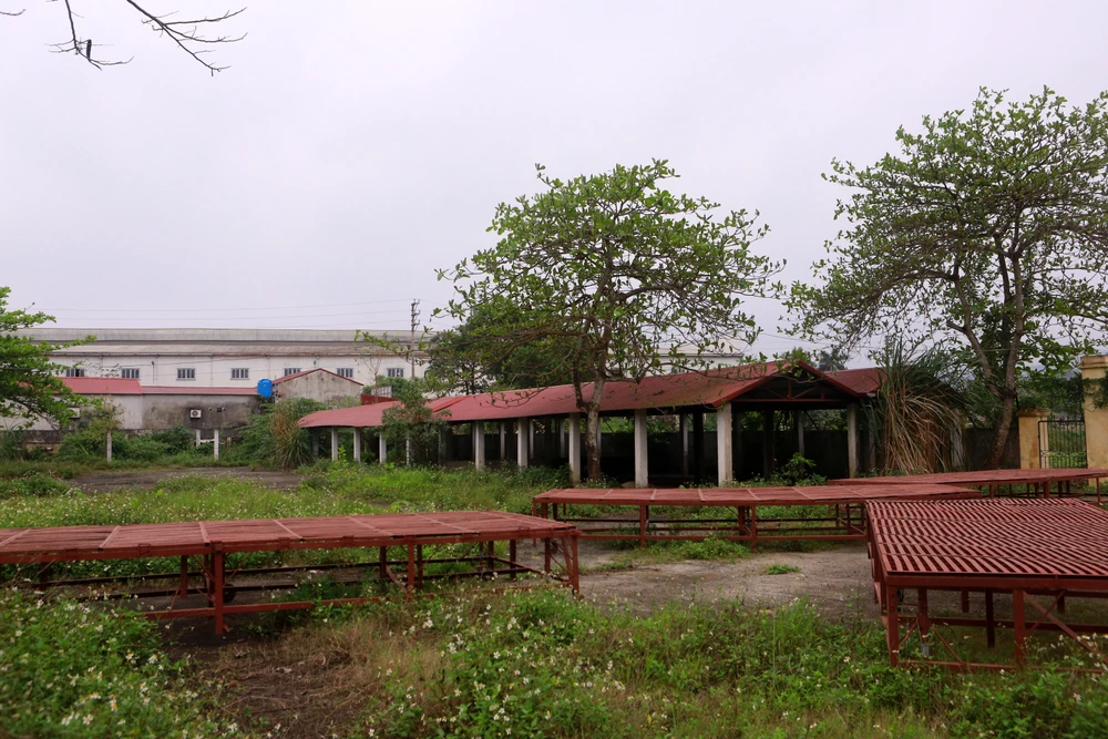 Ngôi trường cấp 3 bỏ hoang suốt nhiều năm ở Thanh Hóa - 26.JPG