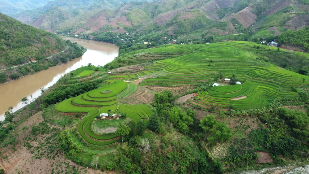 Chiêm ngưỡng vẻ đẹp những thửa ruộng bậc thang ở huyện biên giới Mường Lát -13.JPG