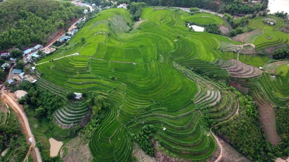 Chiêm ngưỡng vẻ đẹp những thửa ruộng bậc thang ở huyện biên giới Mường Lát -15.JPG