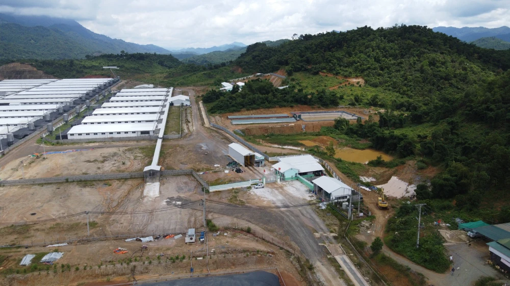 Hàng ngàn người dân “sống chung” với mùi hôi thối từ trang trại nuôi heo - 2.jpg