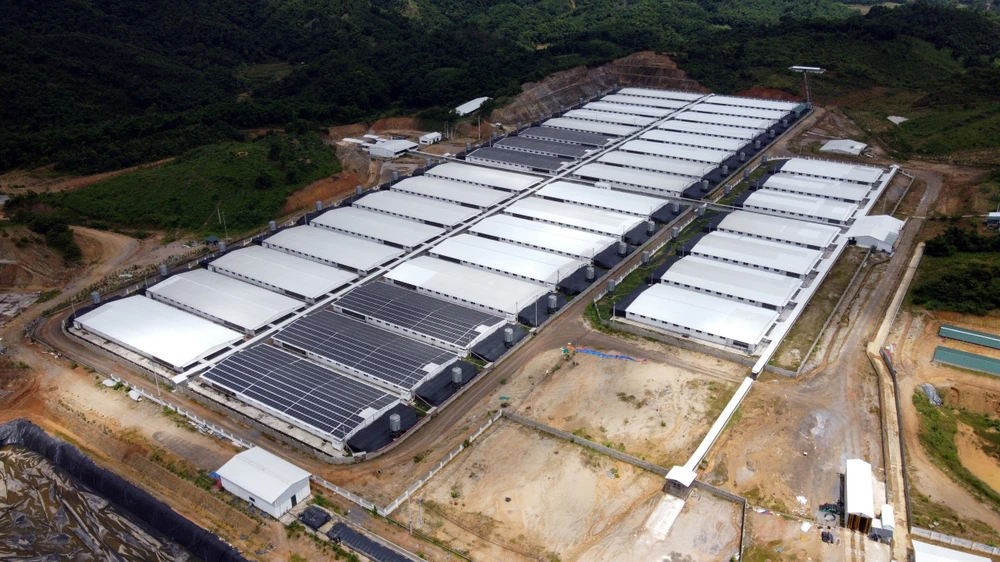 Hàng ngàn người dân “sống chung” với mùi hôi thối từ trang trại nuôi heo - 4.jpg