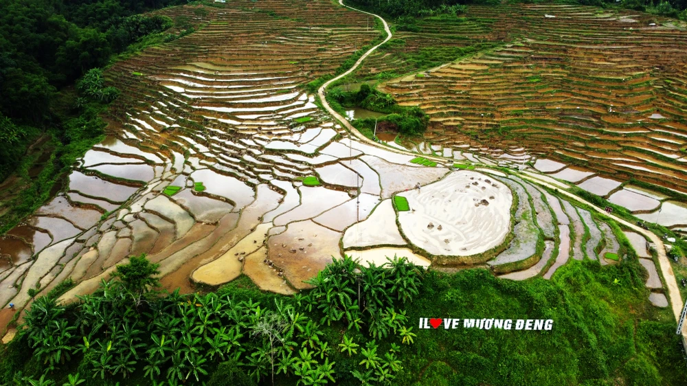 Khung cảnh thơ mộng ruộng bậc thang lung linh nối dài đến chân trời - 3.JPG