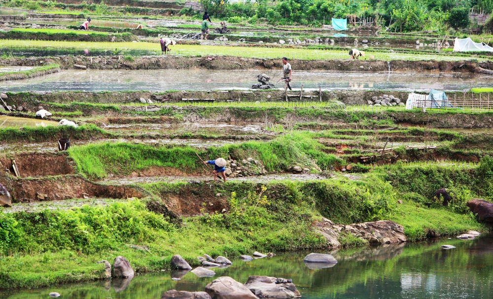 Khung cảnh thơ mộng ruộng bậc thang lung linh nối dài đến chân trời -.JPG