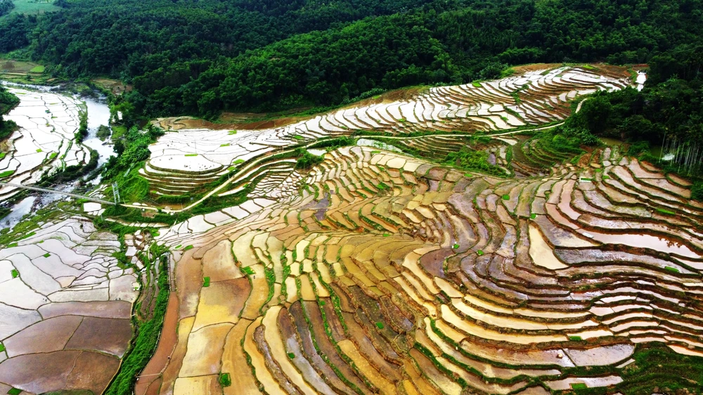 Khung cảnh thơ mộng ruộng bậc thang lung linh nối dài đến chân trời - 6.JPG