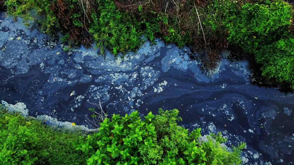 1 trang trại nuôi heo ở Thanh Hóa bị dân tố gây ô nhiễm kênh nước -2.jpg