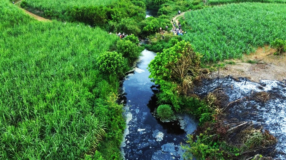 1 trang trại nuôi heo ở Thanh Hóa bị dân tố gây ô nhiễm kênh nước -5.jpg