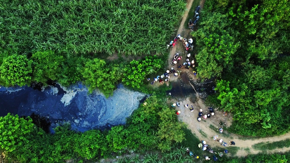 1 trang trại nuôi heo ở Thanh Hóa bị dân tố gây ô nhiễm kênh nước -9.jpg