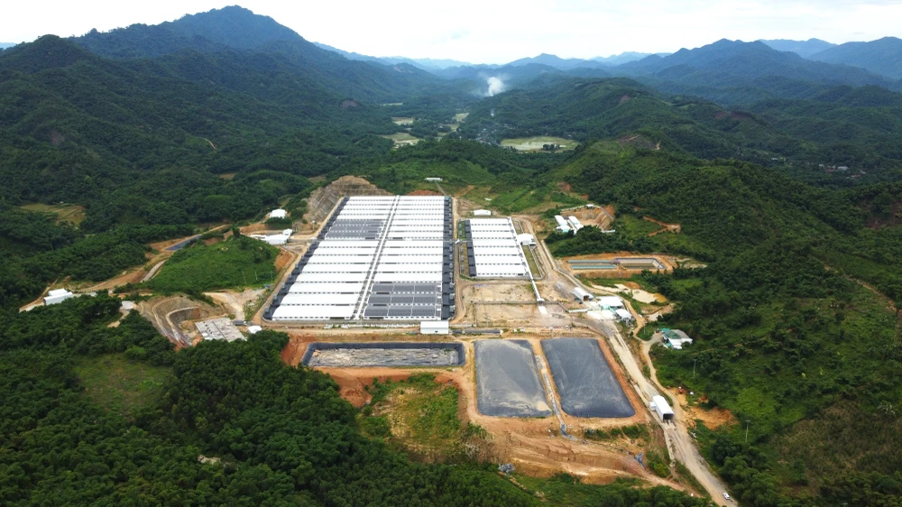 Dừng vĩnh viễn trang trại nuôi heo nếu không khắc phục sự cố môi trường.jpg