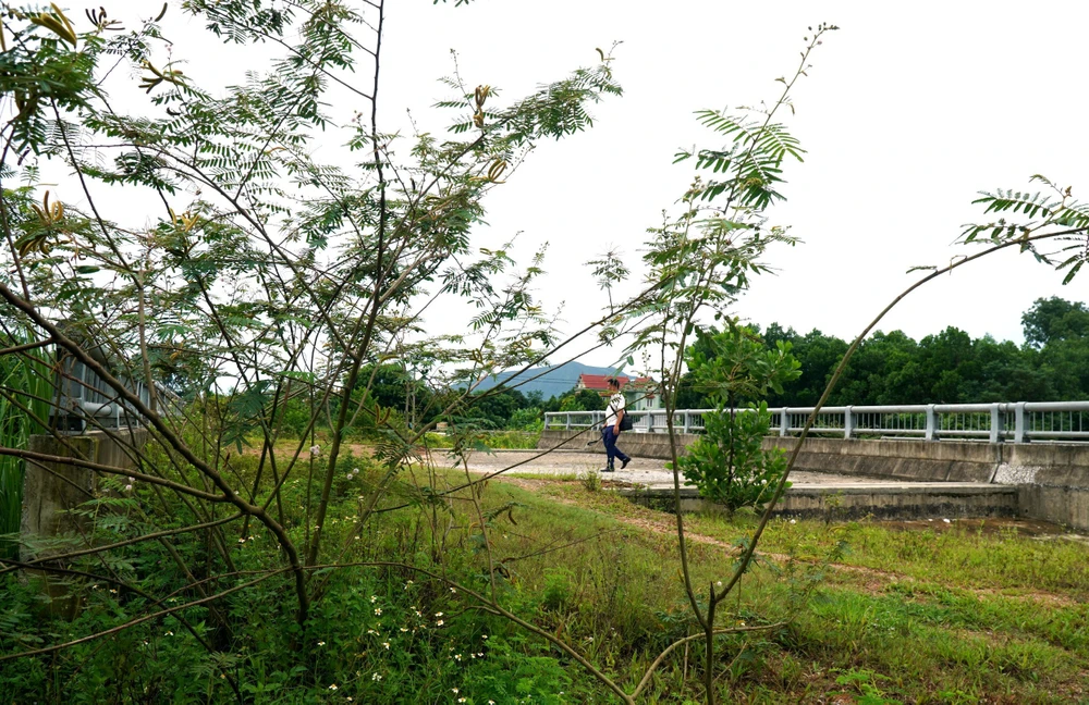 31 Con đường ngàn tỉ ở Thanh Hóa thi công dang dở, cốt thép hoen rỉ - 1.jpg