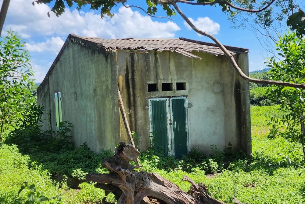 Cảnh hoang tàn làng thanh niên lập nghiệp bỏ làng ở Thanh Hóa - 10.jpg