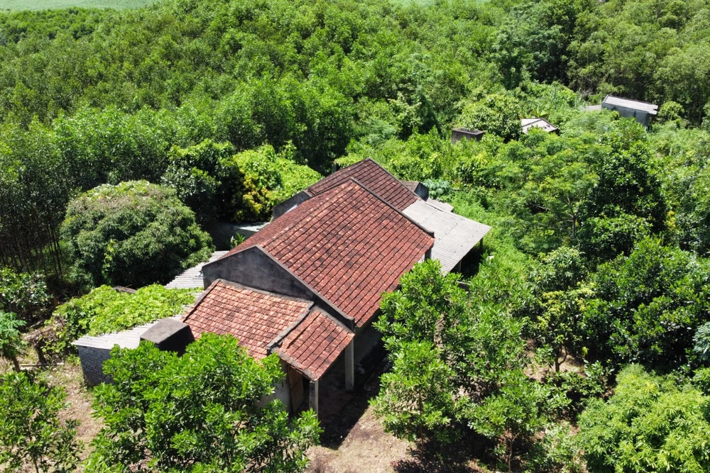 Cảnh hoang tàn làng thanh niên lập nghiệp bỏ làng ở Thanh Hóa - 16.jpg