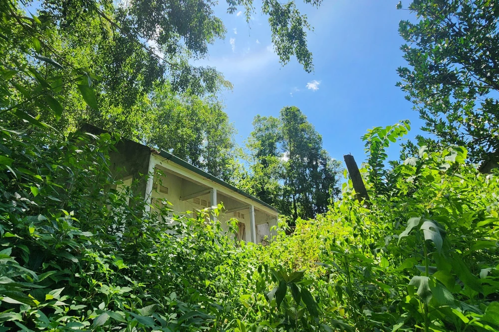 Cảnh hoang tàn làng thanh niên lập nghiệp bỏ làng ở Thanh Hóa - 17.jpg