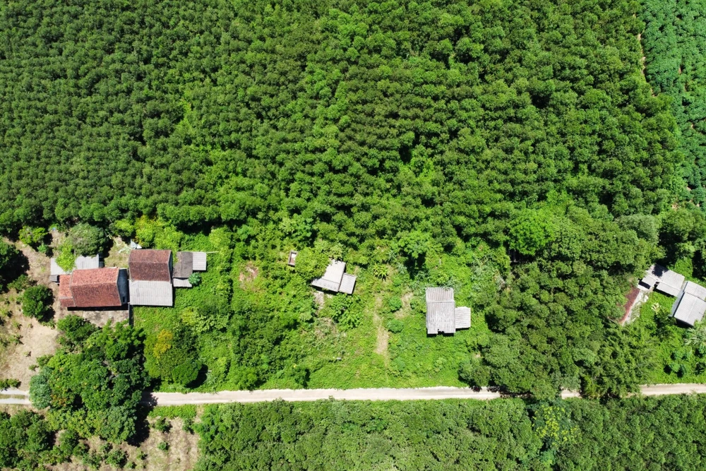 Cảnh hoang tàn làng thanh niên lập nghiệp bỏ làng ở Thanh Hóa - 21.jpg