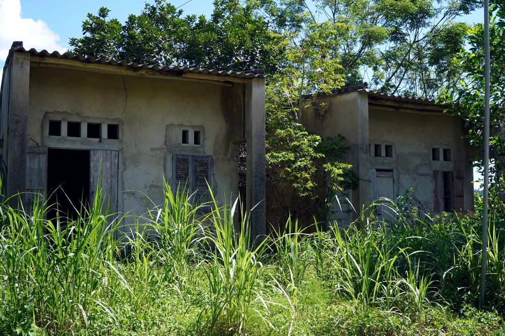 Cảnh hoang tàn làng thanh niên lập nghiệp bỏ làng ở Thanh Hóa - 9.jpg