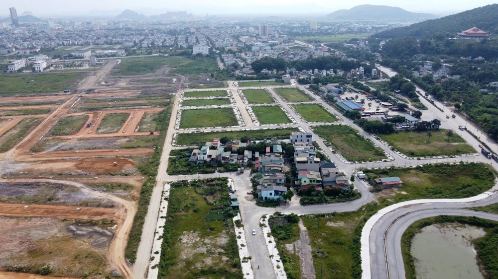 Cảnh khu đô thị 1.200 tỉ đồng ở Thanh Hóa thành nơi chăn thả trâu bò - 10.jpg