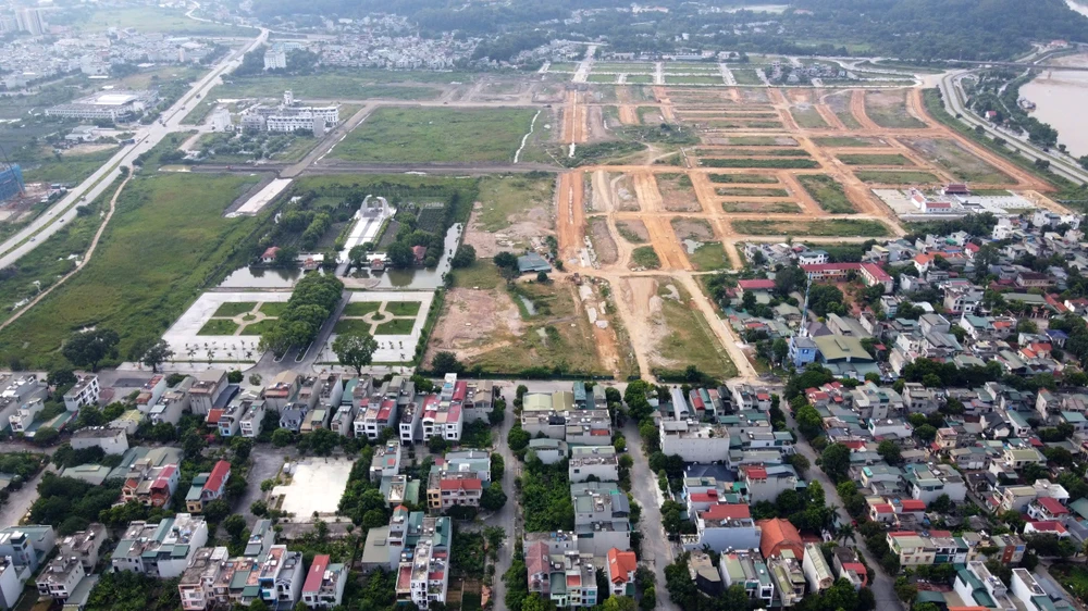 Cảnh khu đô thị 1.200 tỉ đồng ở Thanh Hóa thành nơi chăn thả trâu bò - 15.jpg