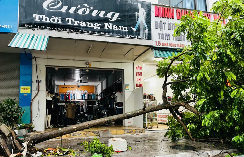 Siêu bão Yagi khiến cây đổ la liệt kèm gió lớn lốc xoáy ở Thanh Hóa -.jpg