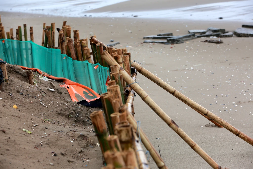 Sạt lở nghiêm trọng bên bờ biển ở Thanh Hóa, thứ trưởng Bộ Nông nghiệp trực tiếp kiểm tra -.JPG