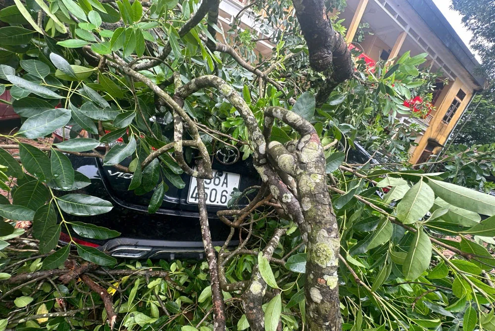 Nữ giáo viên văn bị cành cây đè trúng ở Thanh Hóa đã chuyển ra Hà Nội điều trị2.jpg