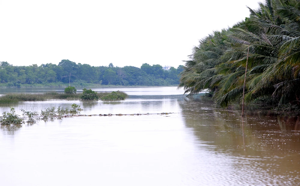 Những phận người trắng tay sau lũ dữ ở Thanh Hóa - 6.jpg