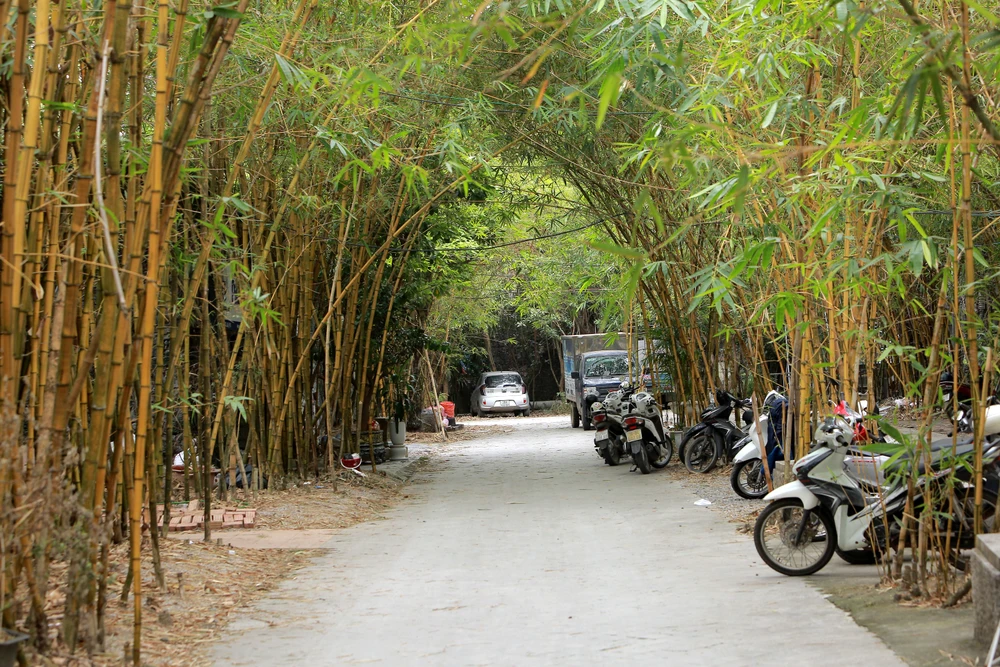 Cận cảnh dự án chết yểu trên khu đất vàng sẽ bị cưỡng chế ở Thanh Hóa -7.JPG