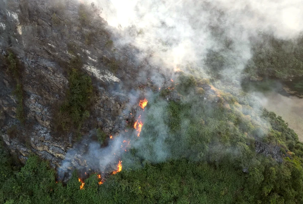 Cháy rừng đặc dụng trong Quần thể danh thắng Tràng An -.jpg